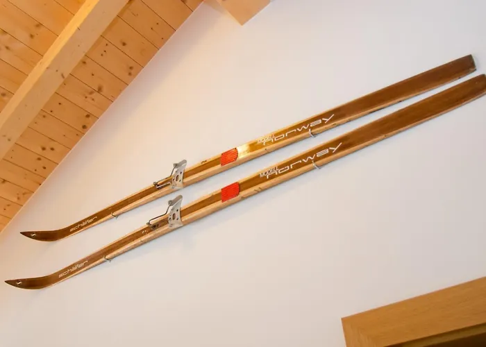 Appartement Schmitten Finest By In One *